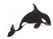 0601fnrs-0137-185x137.png