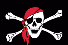 0601foez-3295-231x153.png