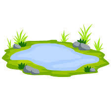 Lake Cartoon Drawing, Lake, Cartoon, Clipart PNG And Vector, 40% OFF