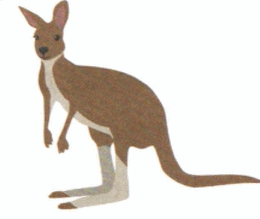 0601fomi-01c2-260x219.png