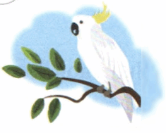0601fomx-7de8-235x189.png