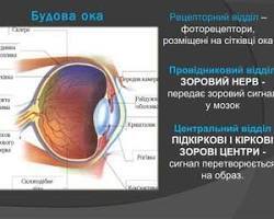 Зображення: Зорові відчуття