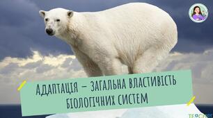 Адаптація друга тематична