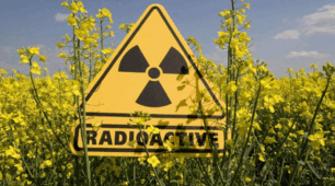 Вплив радіації від аварії на ЧАЕС на живі організми
