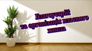 Презентація на тему: " § 13. Благоустрій та організація власного житла " Технології 5 клас. за підручником Ходзицька І.