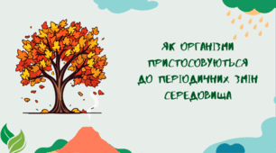 Презентація «Як організми пристосовуються до періодичних змін середовища»