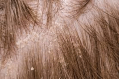 0601funl-5f3a-239x158.png