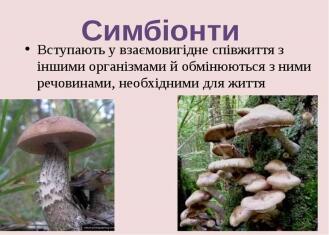 0601fwkf-207f-329x235.jpg