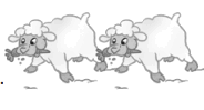 0601fwt0-311c-184x99.png