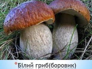 0601fx3c-1c4b-310x233.jpg