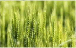 0601fxna-b861-257x163.png