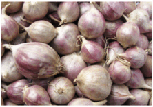 0601fxuk-9ae6-222x156.png