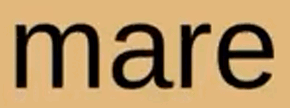 0601fydb-f815-290x108.png