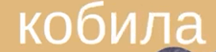 0601fydn-d055-442x106.png