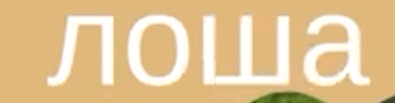0601fyep-759b-363x95.png