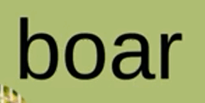 0601fzu5-d20f-289x145.png