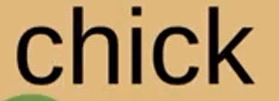 0601fzwl-ce29-312x113.png