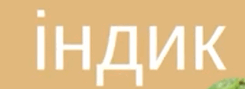 0601fzy6-02b9-353x129.png