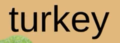 0601fzy8-413a-385x140.png