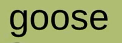 0601fzyr-31bd-393x141.png