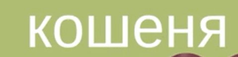 0601fzzm-217f-480x115.png
