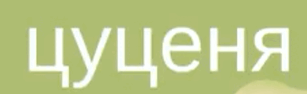 0601fzzz-a11b-444x137.png