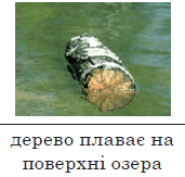 ansc_27364.png