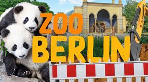  Berliner Zoo.
