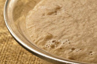 Fermentation | Bakepedia - Baking Encyclopedia