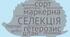 Біологічний диктант до теми "Селекція" в 11 класі за підручником Соболя
