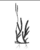 0601g7gh-0695-134x164.png