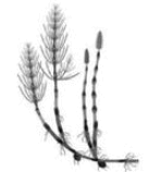 0601g7gk-d080-147x158.png