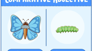 Build up sentences with comparative or superlative 4 grade