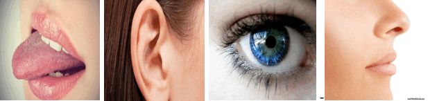 0601g82c-84f3-630x146.png