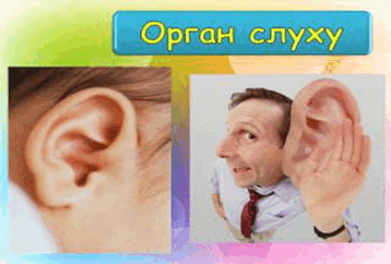 0601g84c-c857-358x242.png