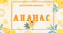 Тематичний комплект "🍍 Ананас 🍍"