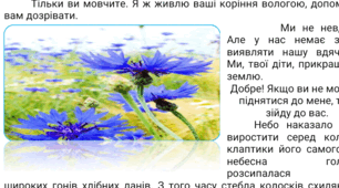 КОМПЛЕКСНА ПІДСУМКОВА  РОБОТА ЗА ГР 2; 3  "З'ЯСУВАННЯ РОЛІ ЗАЙМЕННИКІВ У ТЕКСТІ(ПРАКТИЧНО) 6 КЛ. НУШ"