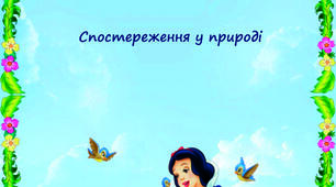 Спостереження в природі весною