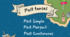 Past Perfect & Past Simple & Past Continuous