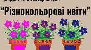 Сенсорна гра : "Різнокольорові квіти"