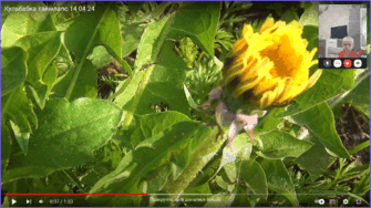 0601gm78-d4ca-335x188.png