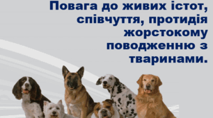 Презентація "Повага до живих істот, співчуття, протидія жорстокому поводженню з тваринами" 6 клас