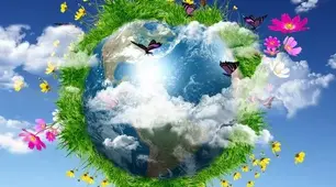 Надорганізмові біологічні системи