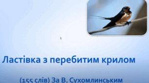 Діагностувальна робота. Робота з літературним твором