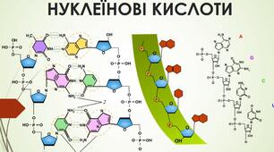 дист 9 клас Контрольна 1.Біологія.Хімічний склад