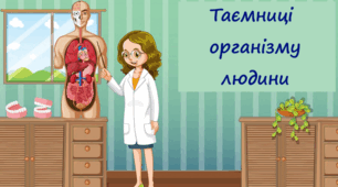 5 клас. Діагностувальна робота № 6 з теми "Пізнаємо різноманіття організмів. Частина 2" _2 варіант