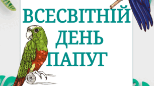 Тематичний комплект "Всесвітній день папуг"