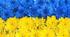 Уживання займенника ви у ввічливому значенні для звертання до однієї особи