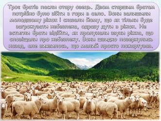 0601h4sy-6698-331x248.jpg