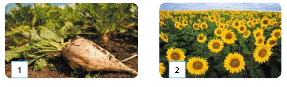 0601h4tc-3fd6-940x285.png